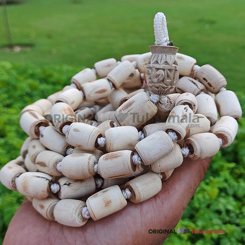 Barrel Beads Original Shyama Tulsi Japa Mala with Krishna Guru Bead